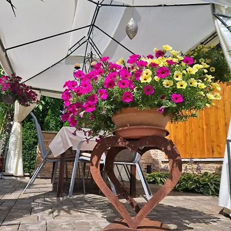 Harmonia 3* Turcianske Teplice